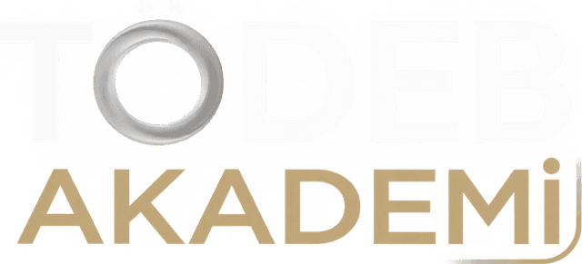 TÖDEB Akademi